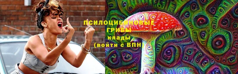 Псилоцибиновые грибы Cubensis  Егорьевск 